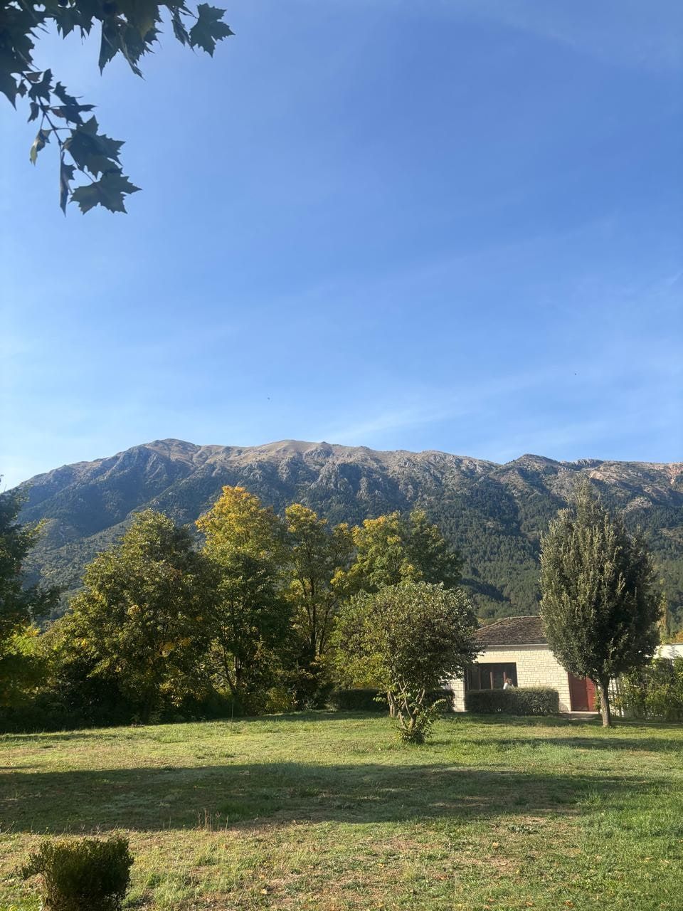 Rugged mountains behind a green meadow and trees under a clear blue sky